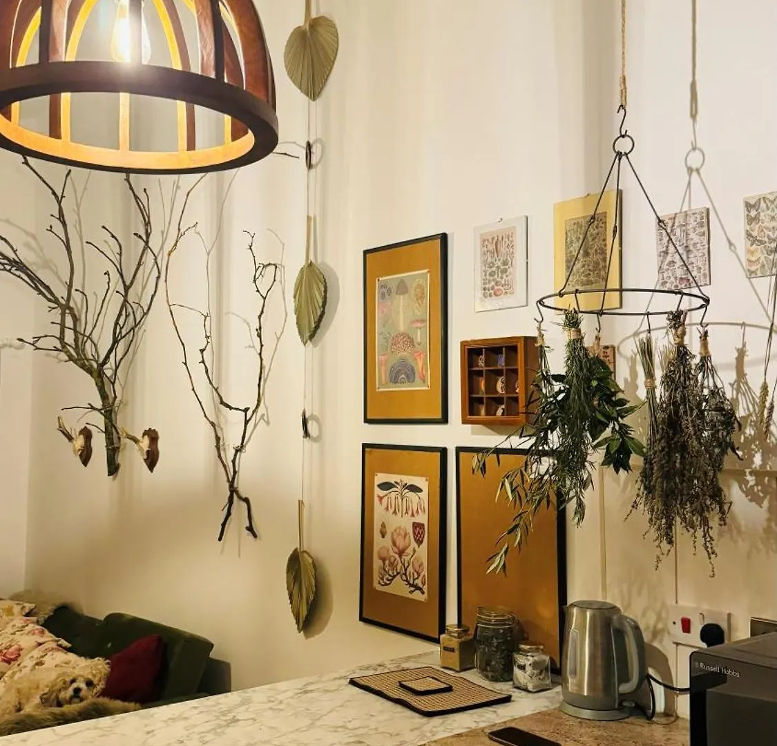 Quirky Stay 10 Min Walk To City With Free Parking York Apartment